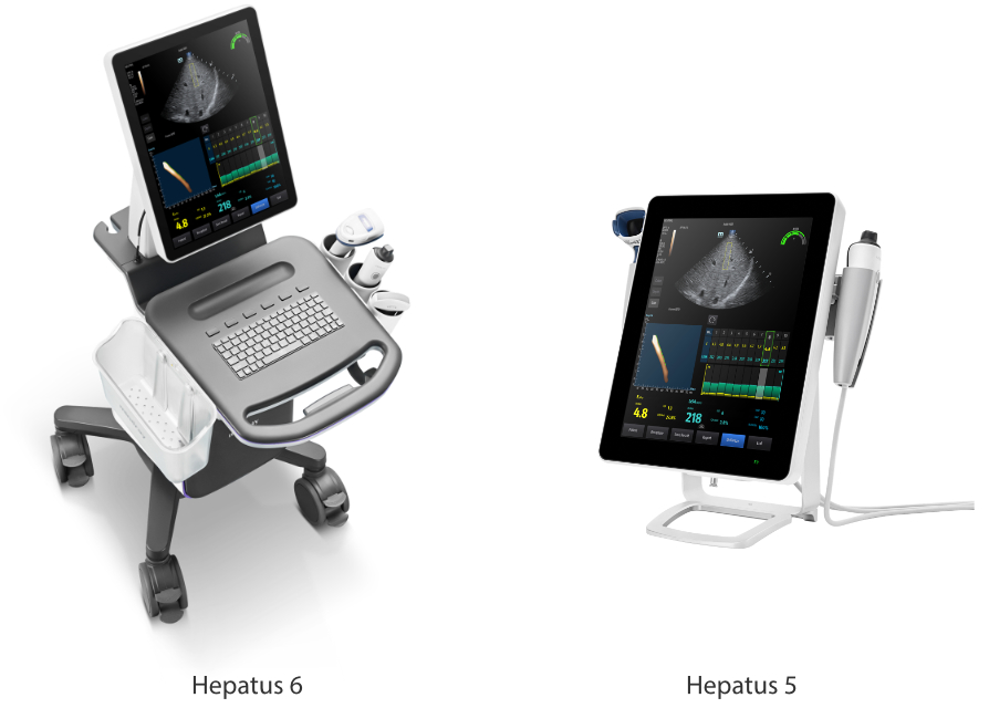 Hepatus